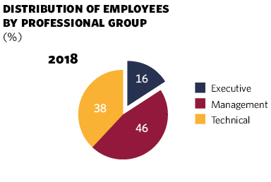 Distribution of employees by professional group